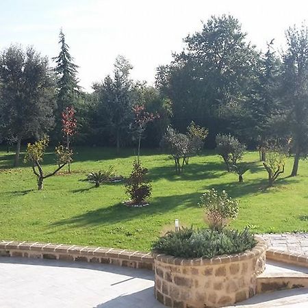 Tenuta Terra Tefra Villa Conca della Campania Dış mekan fotoğraf
