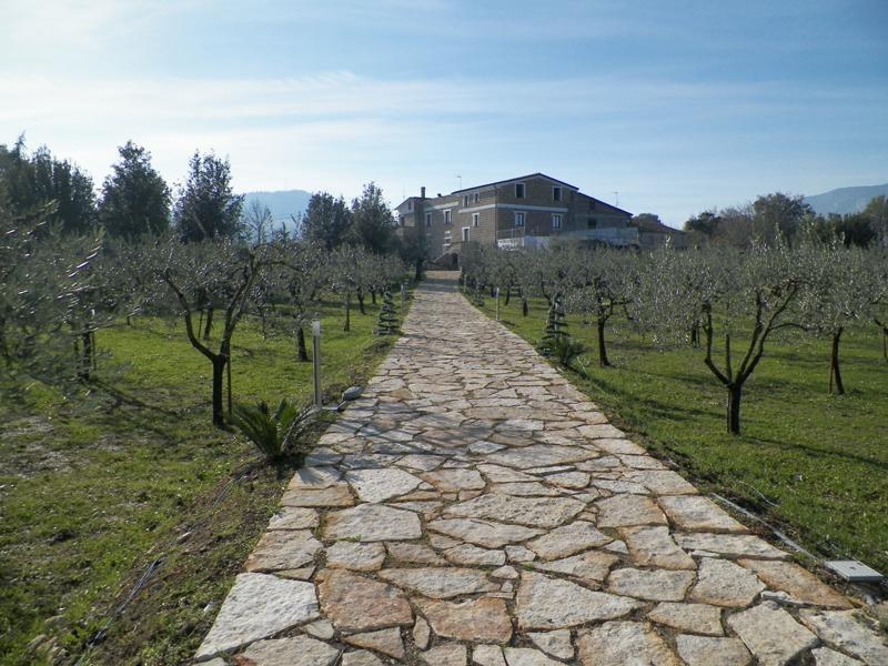 Tenuta Terra Tefra Villa Conca della Campania Dış mekan fotoğraf