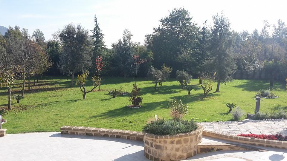 Tenuta Terra Tefra Villa Conca della Campania Dış mekan fotoğraf